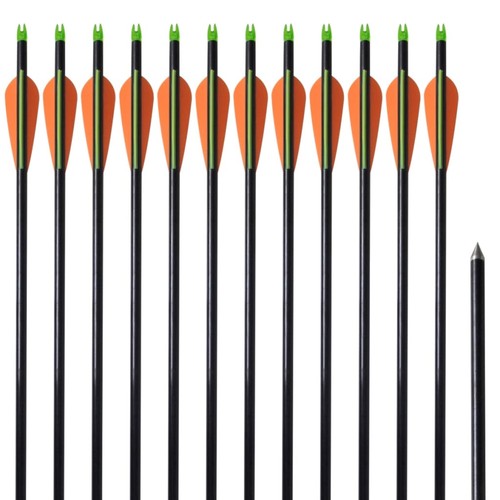 12x flèche arc - 12x, d'arc