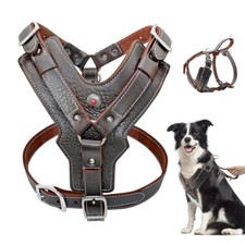 Harnais en Cuir Avec Poignée