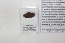 Météorite Séricho Pallasite