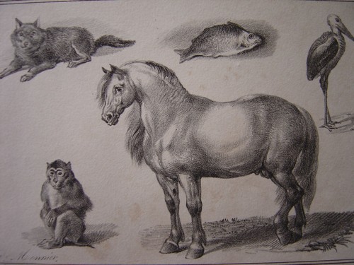 Lithographie monnier - de,