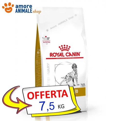 Royal canin chien - canin,