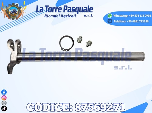 5086574 4959313 arbre - 5086574,
