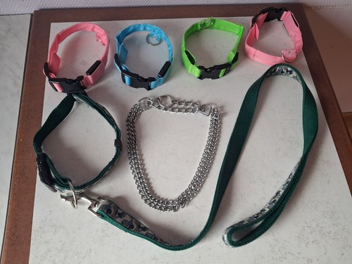 Lot pour chien - pour,