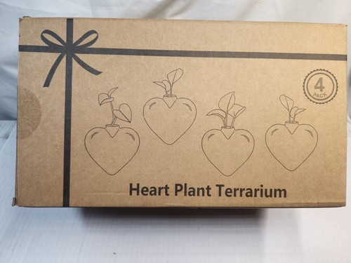 Heart plant terrarium set - heart,