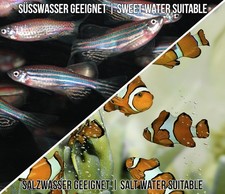 IMPERMEABLE PH-METRE/CONTROLEUR/COMMANDE REGULATEUR CO2EAU DOUCE/SALÉE P10