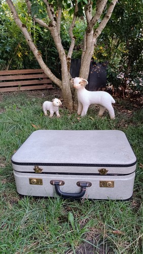 Valise rigide vintage