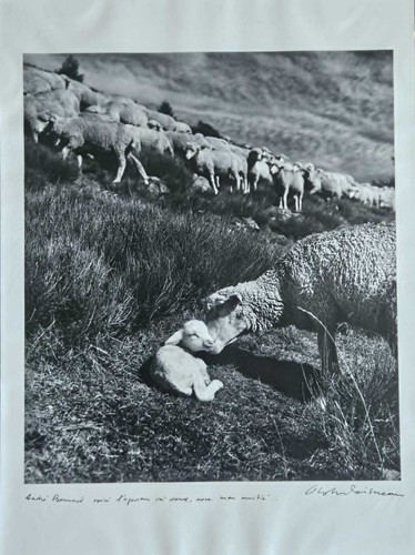 Robert doisneau rare - doisneau,