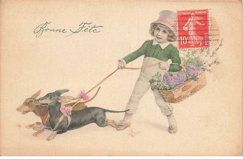 Chiens bonne fête enfant - -,