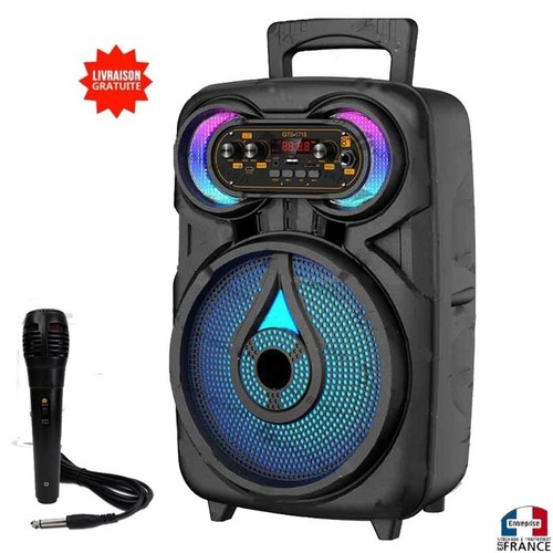 Haut parleur enceinte - haut-parleur,