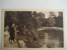 Old postcard 75 PARIS LES CANARDS AU BOIS DE BOULOGNE