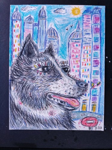 Dessin chien border collie - dessin,