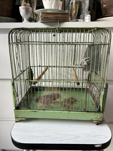 Ancienne cage oiseau - à, vert