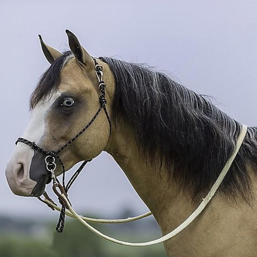 Mustang bitless halter bridle - mustang,