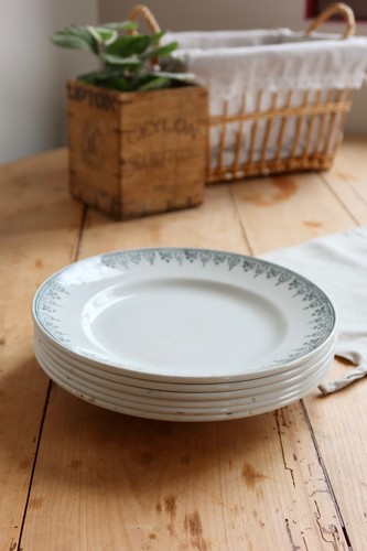 Assiettes vintage terre - 6,