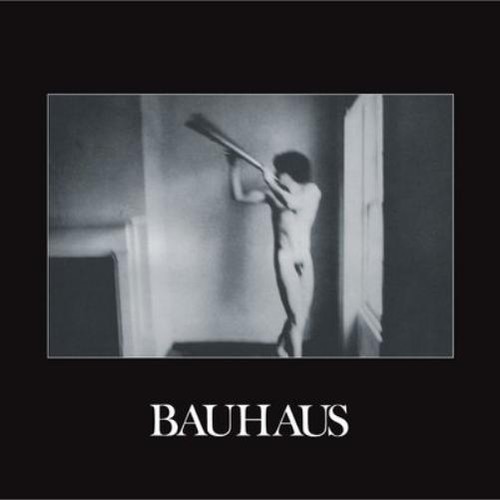 Bauhaus the flat field - in,