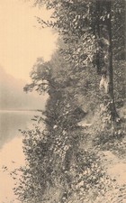 BELGIQUE GROENENDAEL FORET DE