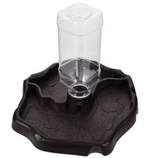  Bols D'eau Pour Tortues