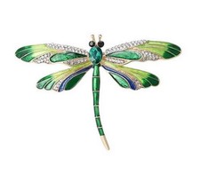 Broche bijou insecte libellule vert dominant, acier inoxydable.