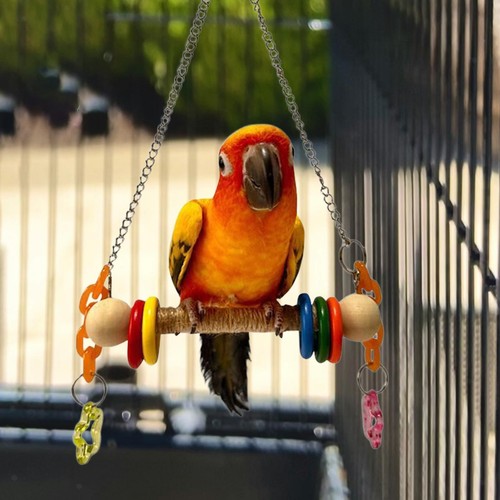 Balançoire pour oiseaux