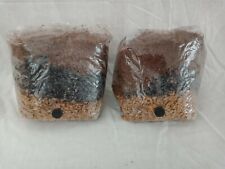 2 All in One Mushroom Grow Bags Sterilized 3.5lb GROWING BIO-BAG KIT FAST SHP[A]