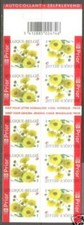 Belgique**CHRYSANTHEME-FLEURS