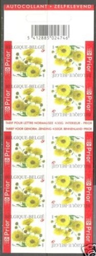 Belgique**CHRYSANTHEME-FLEURS