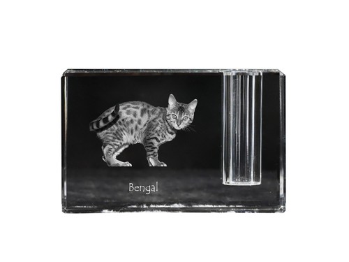 Bengal porte plume cristal - porte-plume, en