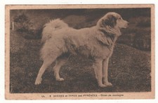 Old postcard animals -