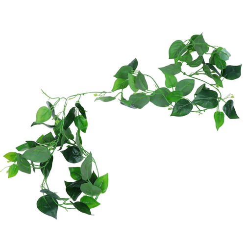 Décoration pour terrarium - décoration,