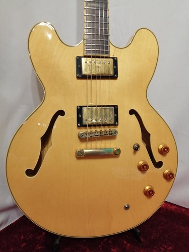 Epiphone sheraton na - ii, used