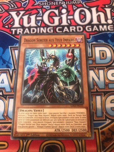 Dragon sorcier aux - , yeux
