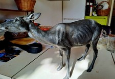 Biche Cerf Grand Regule