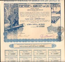 TOP DECO => FORESTRY & AGRICULTURAL FARMS of LAKE LEOPOLD II (CONGO) (H)