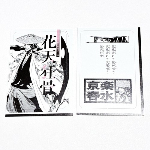 Shunsui kyoraku bleach - kyoraku,