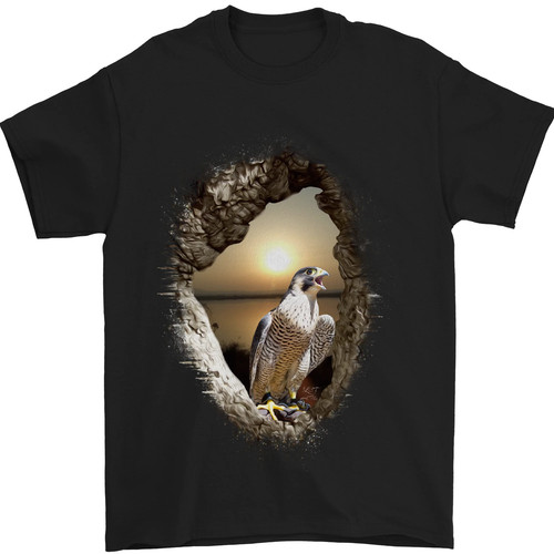 Shirt pour homme - pour,
