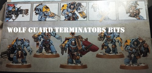 Warhammer 40k old space wolves - old,