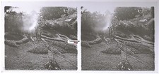 Watering, garden, stereo photo glass plate, black & white positive 6x13 cm