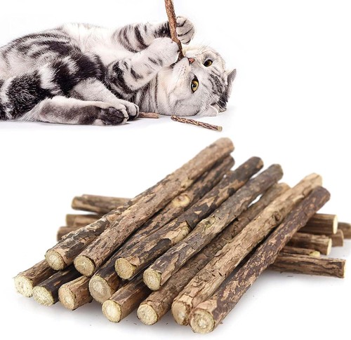 Bâtons molaires chat - 30,