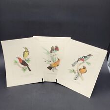 Histoire Naturelle des Oiseaux Exotiques Limited Ed. Italian Colored Lithographs