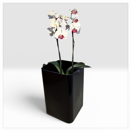 Porte vase carré - carré, vintage