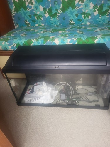 Vends aquarium 100l - vends,