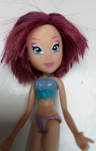 Petite poupee winx tecna - poupee,