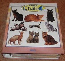 Passion des chats Collection