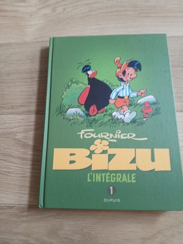 Intégrale bizu - intégrale,