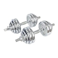 Paire Haltères Disques