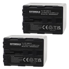 2 Batteries pour Sony HDR-SR1E