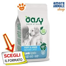 Oasy Chien Chiot & Junior