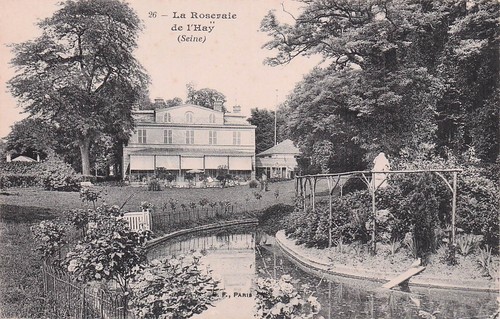 Hay les roses - l,