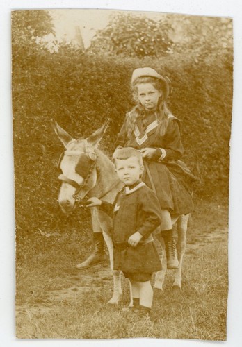 Carte photo donkey costume - carte,