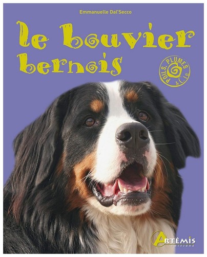 Bouvier bernois - le,